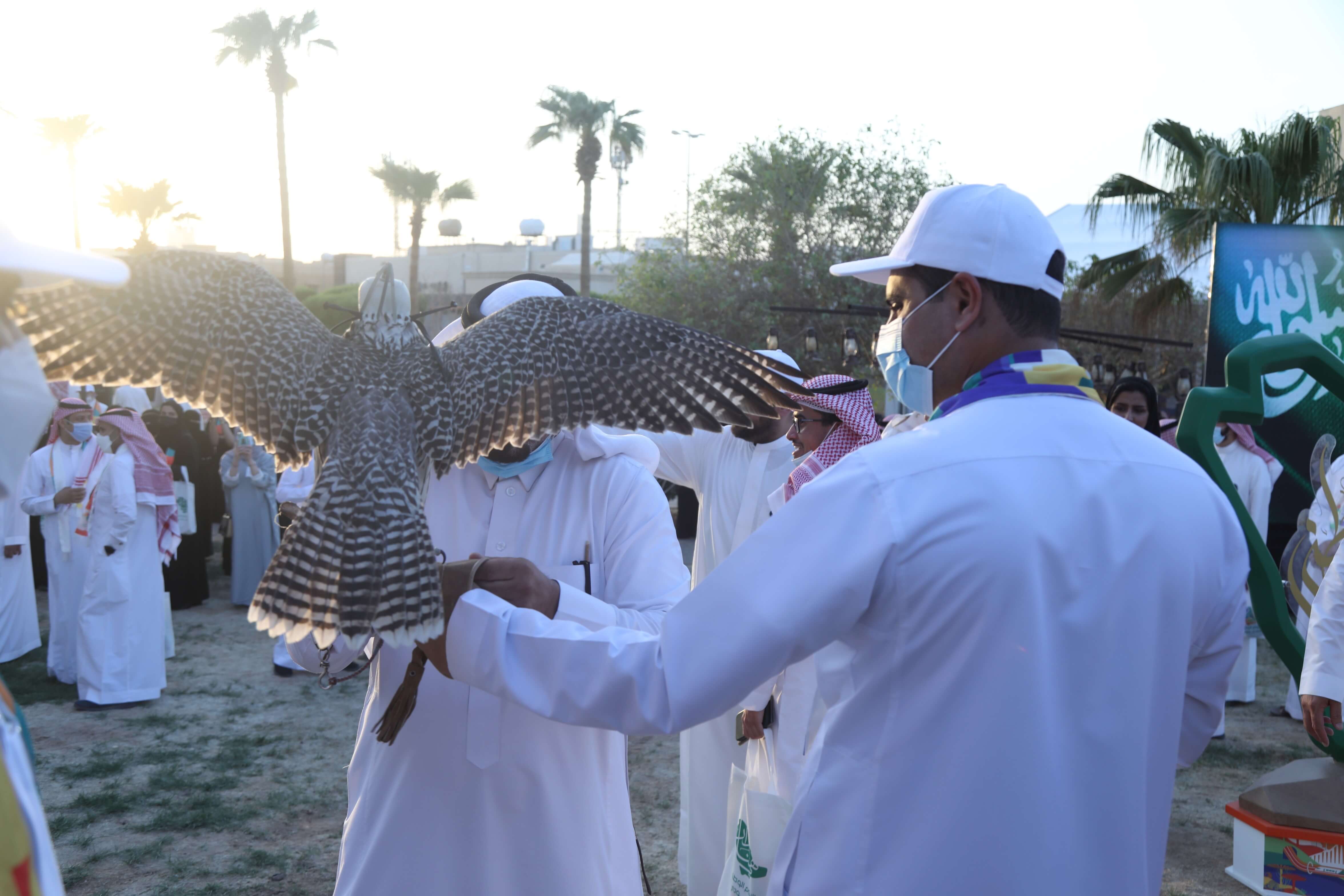 His Excellency the Governor with the Falcon