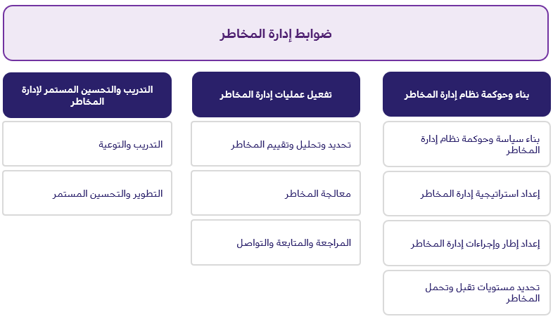ضوابط ادارة المخاطر