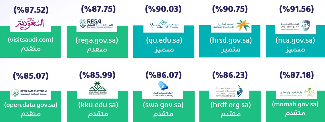 أعلى عشرة مواقع إلكترونية حكومية منظور الكفاءة الفنية