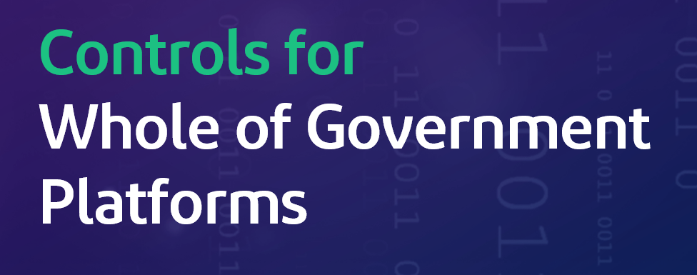 Controls of Whole of Government Platforms